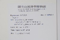 登錄號:S096846藏品圖，第2張