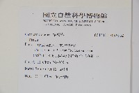 登錄號:S096852藏品圖，第2張