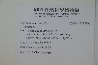 登錄號:S096897藏品圖，第2張