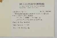 昆明山海棠藏品圖，第2張