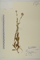 登錄號:S096933藏品圖，第1張