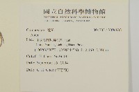 登錄號:S096933藏品圖，第2張