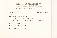 登錄號:S096936藏品圖，第2張