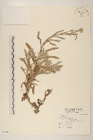 登錄號:S096943藏品圖，第1張