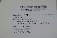 登錄號:S096945藏品圖，第2張