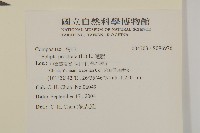 鱧腸藏品圖，第2張