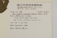 昭和草藏品圖，第2張