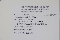 登錄號:S096979藏品圖，第2張