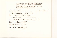 一枝香藏品圖，第2張