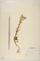 登錄號:S096988藏品圖，第1張