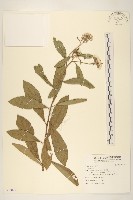 登錄號:S097021藏品圖，第1張