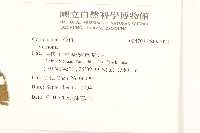 登錄號:S097021藏品圖，第2張