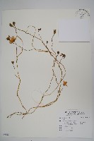 登錄號:S097024藏品圖，第1張