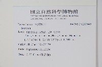 登錄號:S097049藏品圖，第2張