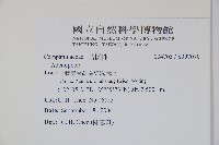 登錄號:S097070藏品圖，第2張