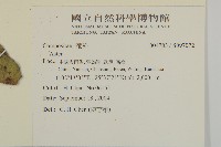 登錄號:S097072藏品圖，第2張