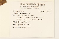 登錄號:S097078藏品圖，第2張