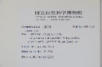 登錄號:S097086藏品圖，第2張