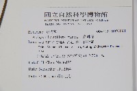 三角咪草藏品圖，第2張