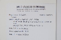 登錄號:S097096藏品圖，第2張