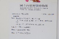 登錄號:S097098藏品圖，第2張