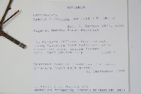 登錄號:S097124藏品圖，第2張