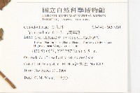 登錄號:S097126藏品圖，第2張