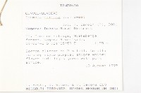 番仔藤藏品圖，第2張