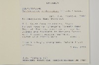 登錄號:S097161藏品圖，第2張