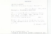 七爪牽牛花藏品圖，第2張