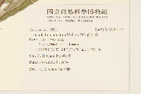 紅面番藏品圖，第2張