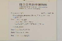 阿里山油菊藏品圖，第2張