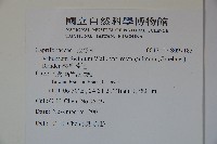 狹葉莢迷藏品圖，第2張