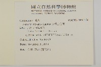 臺灣山白蘭藏品圖，第2張