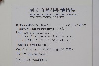 鐘萼木藏品圖，第2張