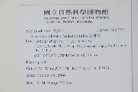 武靴藤藏品圖，第2張