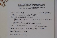 呂宋莢迷藏品圖，第2張