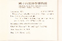 王爺葵、五瓜金英藏品圖，第2張