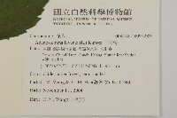 下田菊藏品圖，第2張