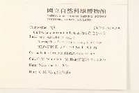 粗毛小米菊藏品圖，第2張