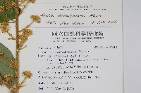 鵲不踏藏品圖，第5張