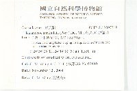 倒吊蓮、匙葉燈籠草藏品圖，第2張