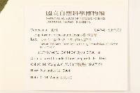 臺灣澤蘭藏品圖，第2張