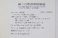 裡白蔥木藏品圖，第2張