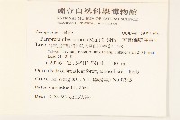 山苦藚、假福王草藏品圖，第2張