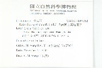 倒吊蓮、匙葉燈籠草藏品圖，第2張