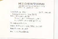 碗仔花藏品圖，第2張