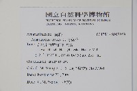 野莧菜藏品圖，第2張