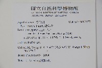 鐵冬青藏品圖，第2張