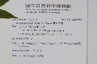 臺灣馬藍藏品圖，第2張